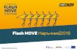 Flash Move Guide 2016 bg