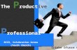 The productive professional