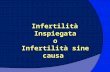 Intrauterine insemination forun explained infertility Infertilità inspiegata Dr Franco Lisi Specialista in ostetricia e ginecologia Responsabile reparto PMA Clinica Villa Mafalda
