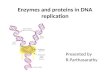 Enzymes and proteins in dna replication