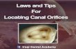 Laws and Tips for Locating Canal Orifices