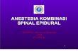05. anestesia kombinasi spinal epidural cpd 2010 16 slide