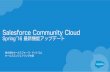 Salesforce.com Community Cloud Spring'16 Update