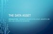 The Data Asset