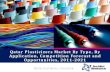 Qatar Plasticizers Market 2021 - brochure