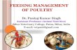 Feeding management of poultry
