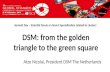 TCI 2016 DSM: from the golden triangle to the green square
