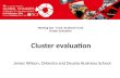 TCI 2016 Cluster evaluation
