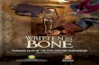 Written in Bone: Forensic Files of the 17th Century Chesapeake ...