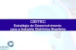 CEITEC Estratégia de Desenvolvimento para a Indústria Eletrôni