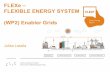 EFEU / FLEXe Lassila Jukka energy grids as enabler
