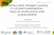 Carbon and nitrogen cycling in oil palm plantations: keys to ...
