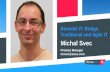 Bi-modal IT: Bridge Traditional and Agile IT Services by Michal Svec, SUSE