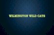 Wilmington wild cats sport mangement final
