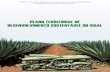 Plano Territorial de Desenvolvimento Sustentável (PTDS)