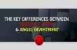 The Key Differences Between Venture Capital  & Angel Investment