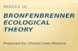Bronfenbrenner Ecological Theory