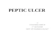 peptic ulcer by B chaitra amin