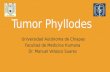 Tumor phyllodes