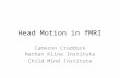 Head Motion in fMRI