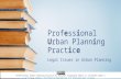 Professional urban planning practice