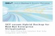 SEP sesam Hybrid Backup for Red Hat Enterprise Virtualization