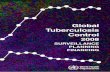 WHO Global Tuberculosis Control 2008 report