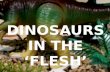 A2 Media Studies Pitch: Dinosaurs in the 'Flesh'