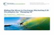 Riding the Wave to Customer Marketing 3.0: Strategies for ”Hanging ...
