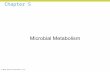 Microbiology Ch 05 lecture_presentation