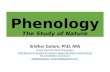 Phenology - The Study of Nature