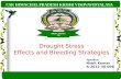 Drought stress Effects and Breeding Strategies