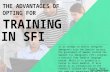 Why immigrants should sign up for sfi courses