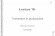 281 lec18 prokaryotic_translation