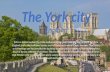 The york city