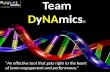 Team DyNAmics - Increasing Team Engagement & Performance