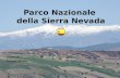 Parco nazionale della sierra nevata