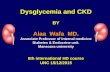 Diabetes,dysglycemia; and chronic kidney disease by prof alaa wafa
