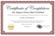 SS Green Belt Certificate