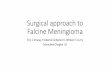 Sch 33 surgical approach to falcine meningioma