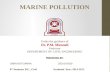 MARINE POLLUTION pollution presentation