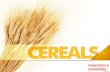 Importance, area, production and productivity of cereals