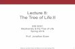 BiS2C: Lecture 8: The Tree of Life II