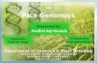 Credit seminar on rice genomics crrected