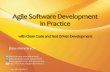 Agile Software Development In Practice