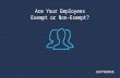 Are Your Employees Exempt or Non-Exempt?