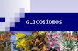 Aula 4. glicosídeos heterosídeos