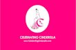 Company Presentation - Celebrating Cinderella