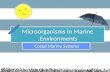 Microorganisms in Marine Environments
