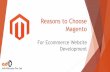 What Are The Reasons To Choose Magento Platform For Ecommerce Website